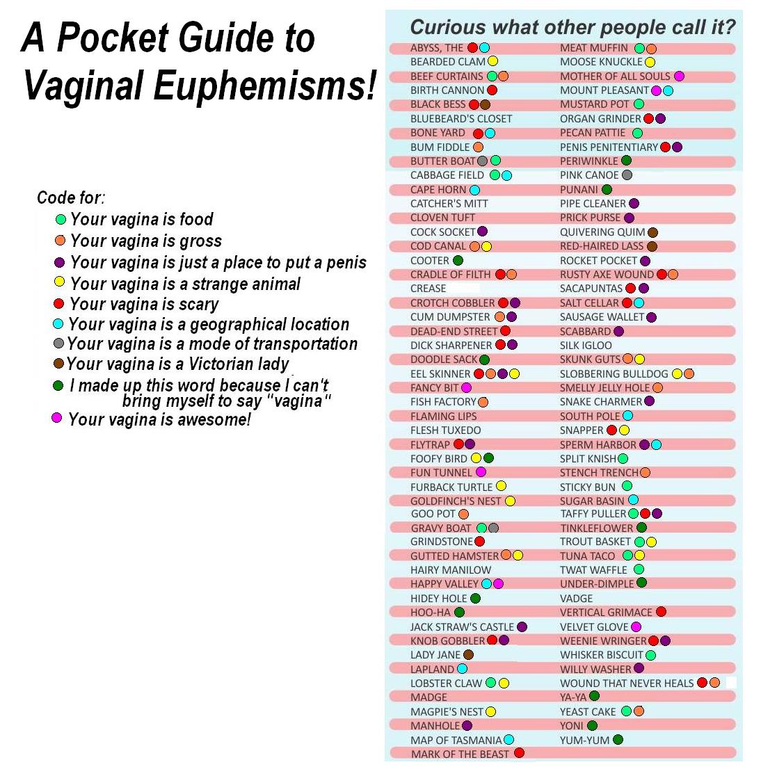 A Pocket Guide to Vaginal Euphemisms