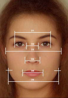 picture of a face divided up with lines and numbers