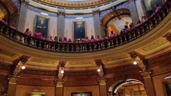 Protestors wearing pink shirts in the Michigan Capitol