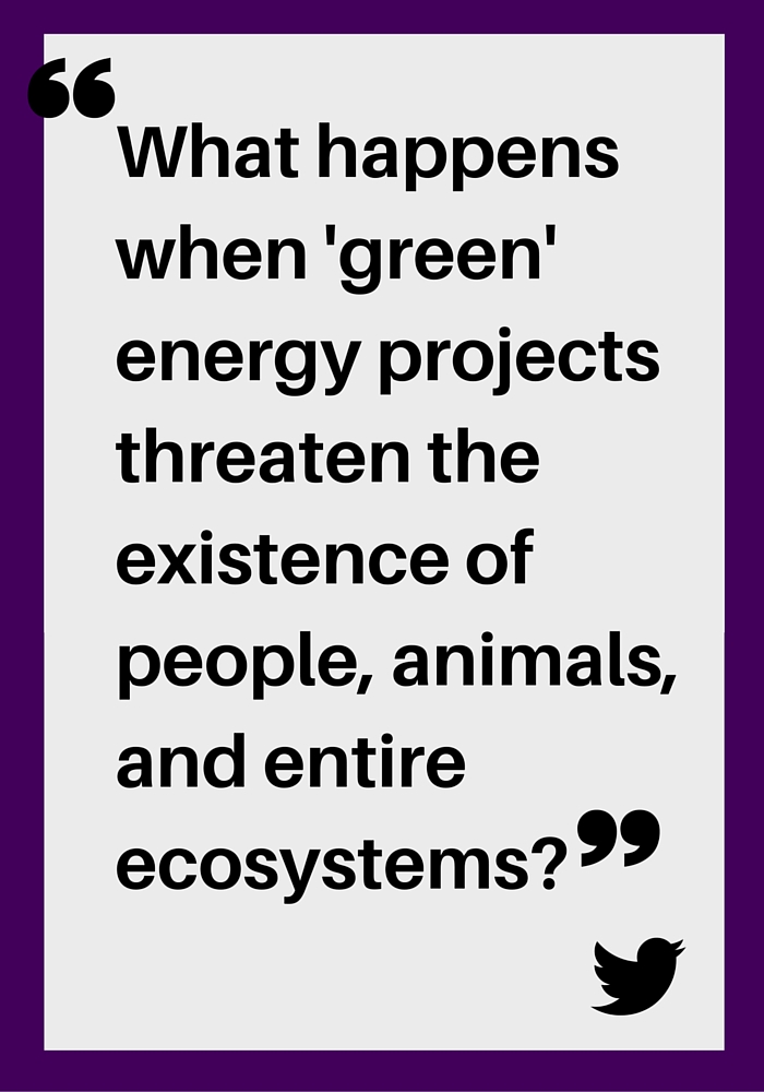 "What happens when 'green' energy projects threaten the existence of people, animals, and entire ecosystems?"