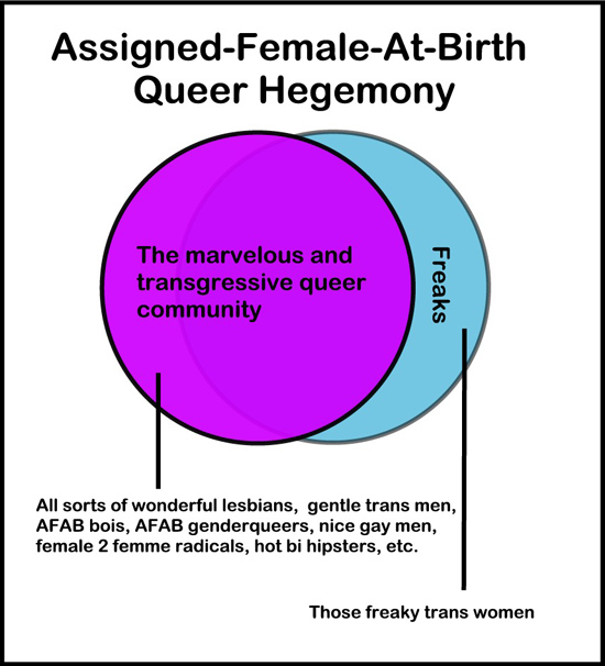 Chart of Assigned-Female-At-Birth Queer Hegemony. Large circle: The marvelous and transgressive queer community: all sorts of wonderful lesbians, gentle trans men, AFAB bois, AFAB genderqueers, nice gay men, female 2 femme radicals, hot bi hipsters, etc. Small outlier circle: Freaks: Those freaky trans women