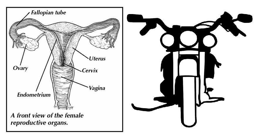 vagina and motorcycle