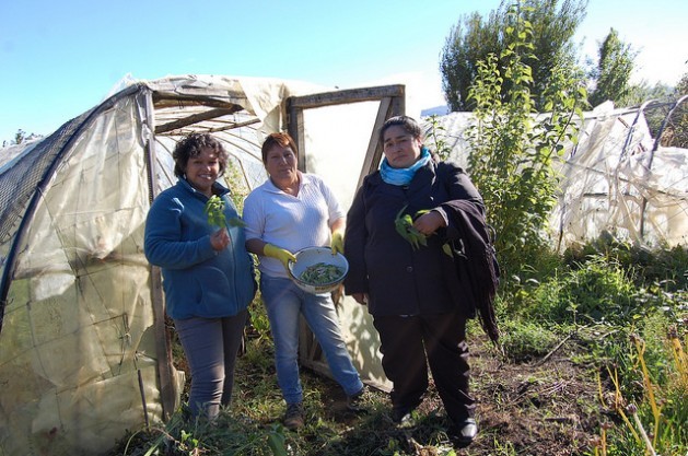 women farmers in Chile