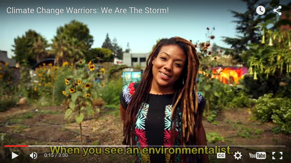 screen shot of "we are the storm" video